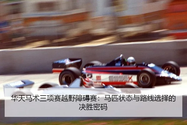 华天马术三项赛越野障碍赛：马匹状态与路线选择的决胜密码