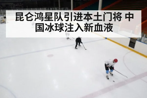 ice hockey game