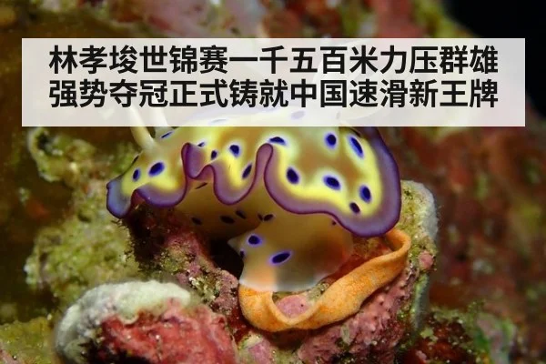 林孝埈世锦赛一千五百米力压群雄强势夺冠正式铸就中国速滑新王牌